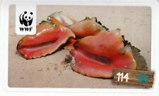 Rewe WWF Tier Abenteuer