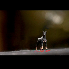 Print mini dog - print,