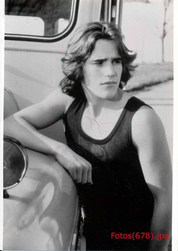 Matt dillon schauspieler - schauspieler,