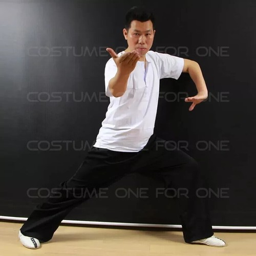 Wing chun tai chi - chun, ip