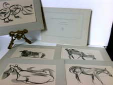 Tierzeichnungen. Geleitwort