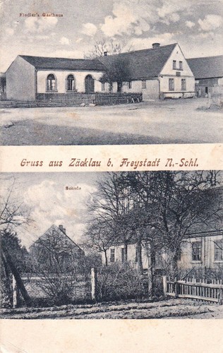 Zäcklau sokolow 2 bild - -,