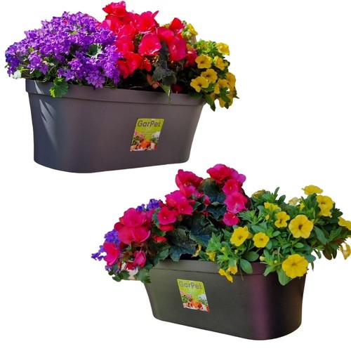 Wand blumentopf topf - wand,