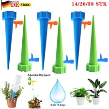 Wasserspender Pflanzen