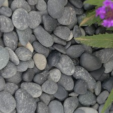 Beach Pebbles Kies Zierkies