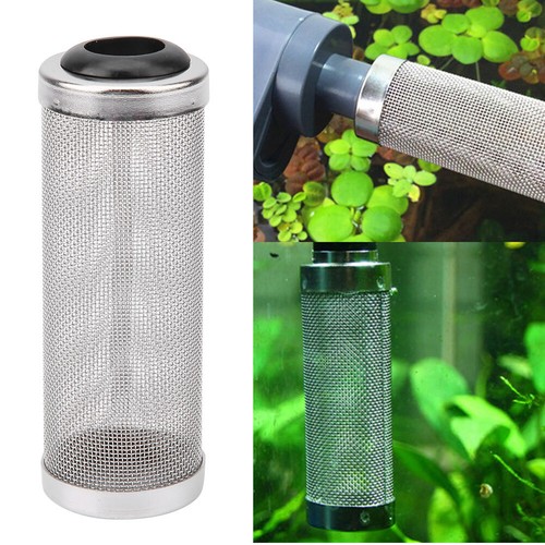Aquarium fish tank - aquarium,