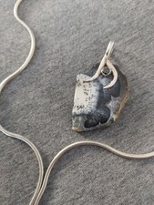 silber Halskette mit Fossil Anhänger 925 silber, 65 cm lang, topp Zustand