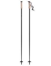 Neue Skistöcke für Herren