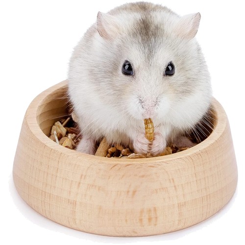 Holz hamster futter schale - futter,