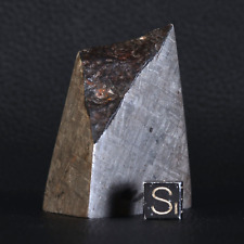 Gibeon Meteorit 176,17g End-Cut Octaedrit IVA Gibeon Figuren Widmanstätten