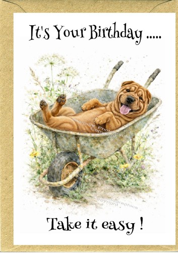 Geburtstagskarte shar pei - shar, hund