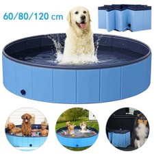 Hunde Hundepool Swimmingpool