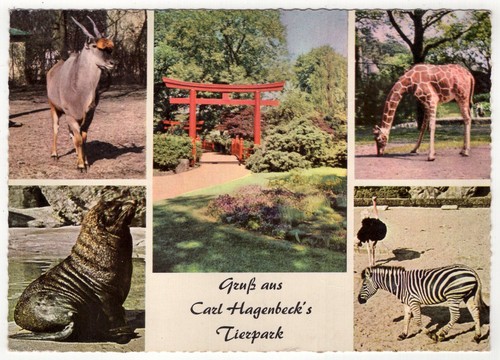Carl hagenbecks tierpark - carl,