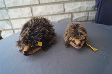 2 gepflegte,ältere Steiff