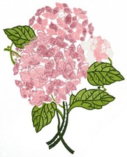 Fensterbild Sommer Plauener