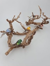 Vogelstange Weinrebe Rebholz