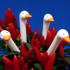 Gartenstecker Gartendekoration