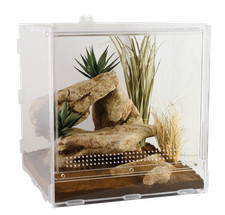 Lucky Reptile LifeTarrium