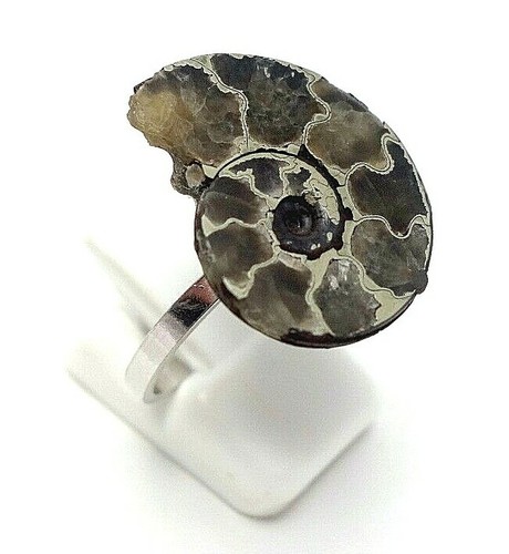 Sehr alter ammonit ring - alter,