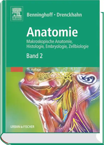 Anatomie makroskopische - anatomie,,