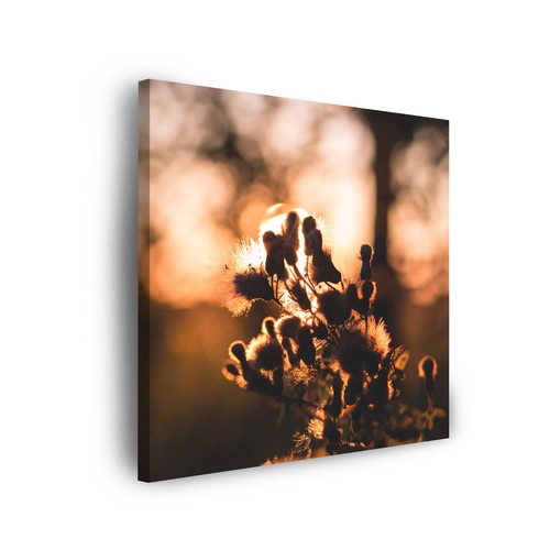 Leinwand bilder natur - leinwand-bilder,