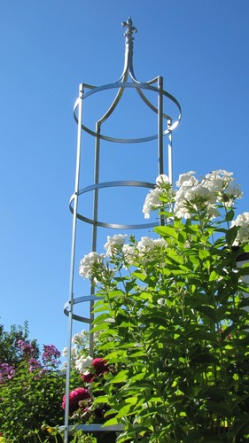 Rosensäule rosenkönig xxl - rosensäule,