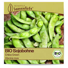 BIO Bohnen Samen Chiba Green Gemüse-Samen Saatgut Bohnensamen