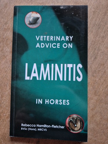 Veterinary advice laminitis - veterinary, on