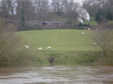 Foto A3 LNWR Nr. 1054 "Coal