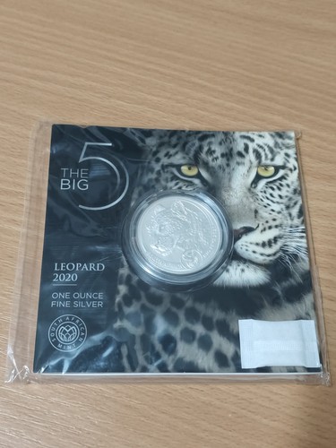 Big five leopard - big,