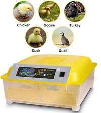 Inkubator Brutmaschine