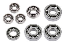 Kugellagersatz (8-teilig) für