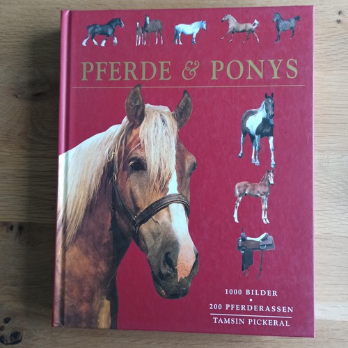 Pferde ponys - pferde,