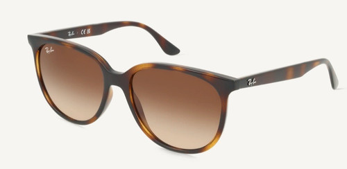 Ray ban sonnenbrille