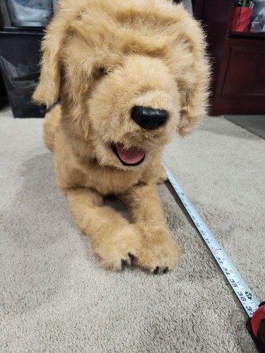 Furreal friends biscuit - biscuit, my