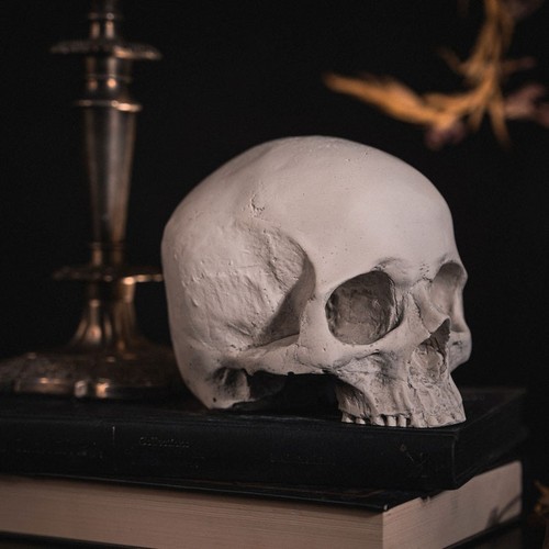 Jane doe totenkopf schädel - jane,