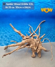 👋XXL Moorkien - Spiderwood