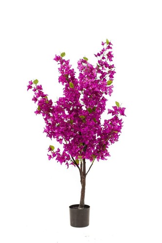 Artplants bougainvillea - artplants,