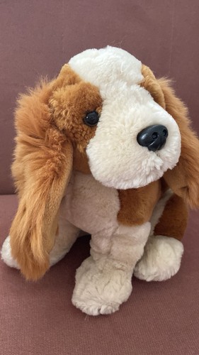 Hund bob der bär plüschhund - der,