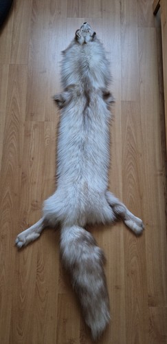 Smokey snow glow fuchs fox - smokey,