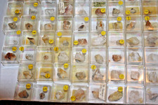 Bariopharmakosiderit Flat 86Stück Grube Clara