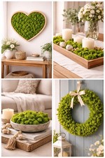 0,5kg ISLANDMOOS hellgrün