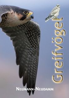 Greifvögel buch zustand - |,