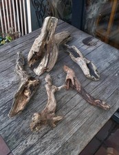5 XL Treibholz Schwemmholz