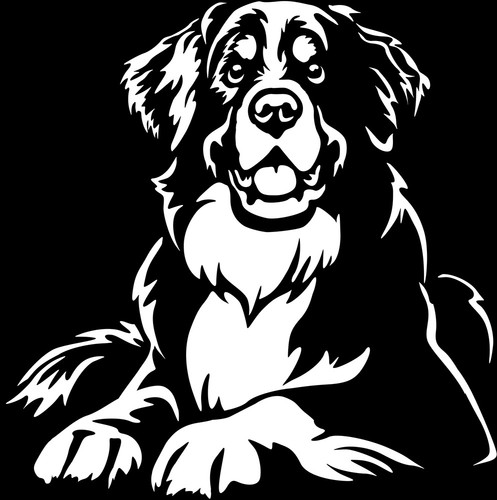 Berner sennenhund aufkleber - berner,