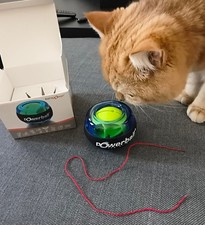 Powerball Basic, gyroskopischer Handtrainer, das Original von Kernpower