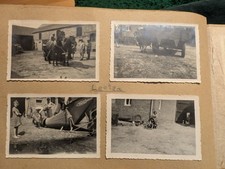 Altes Album. Männer in Uniform, landwirtschaftliche Arbeit und Maschinen