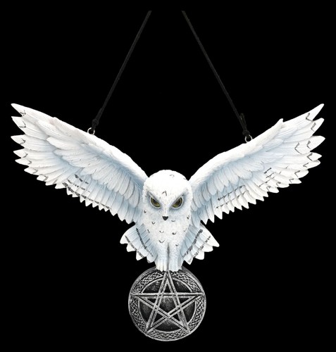 Wandrelief schneeeule talisman - schneeeule,