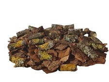 Flechten Äste & Rindenstücke