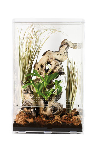 Lucky reptile lifetarrium - lucky,